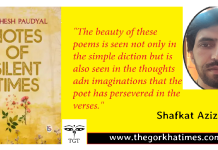 Paudyal’s ‘Notes of Silent Times’: A Review